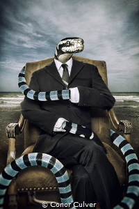 "The Ambassador" Sea snakes are similar to divers, they r... by Conor Culver 